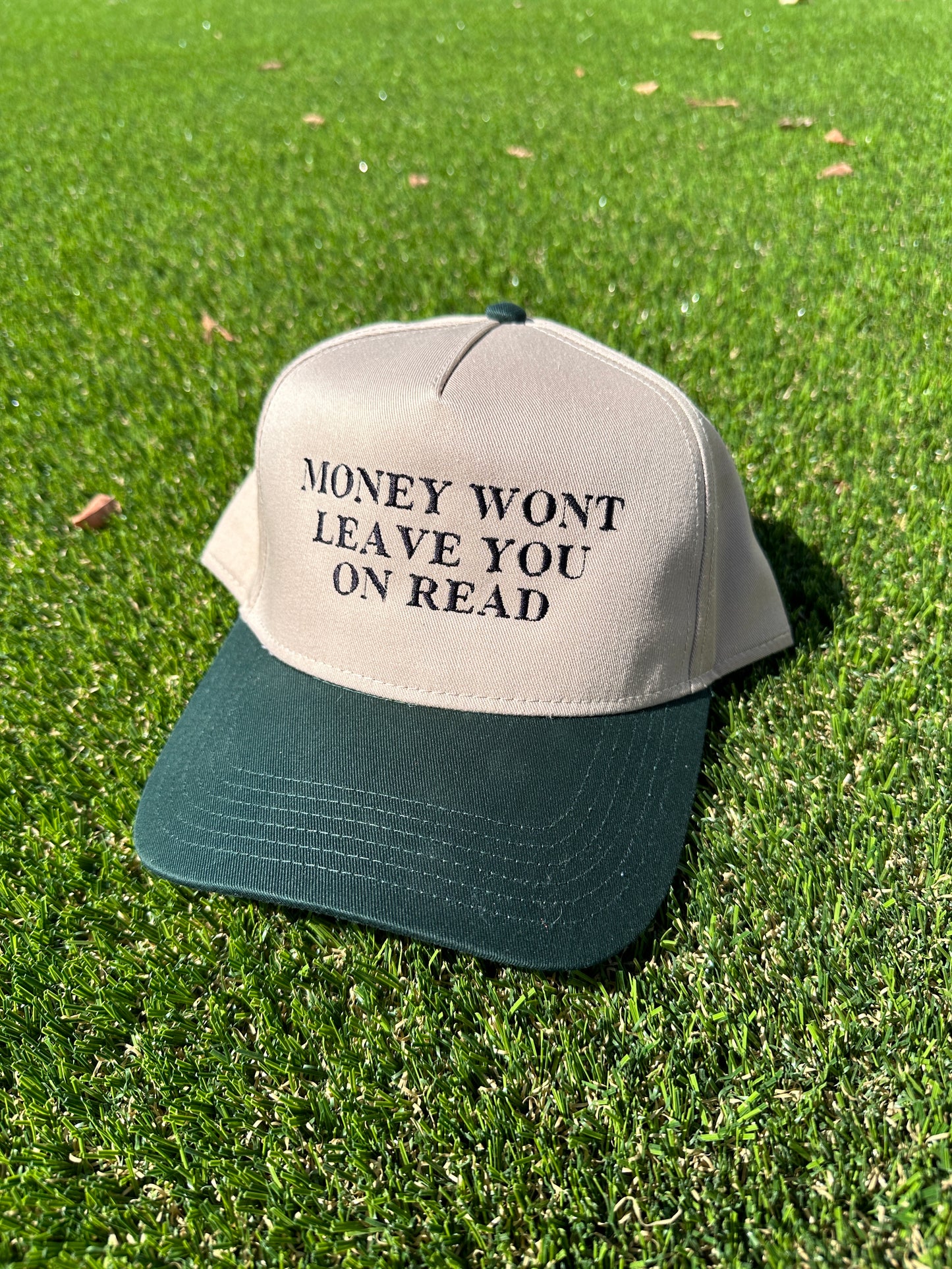 Money SnapBack