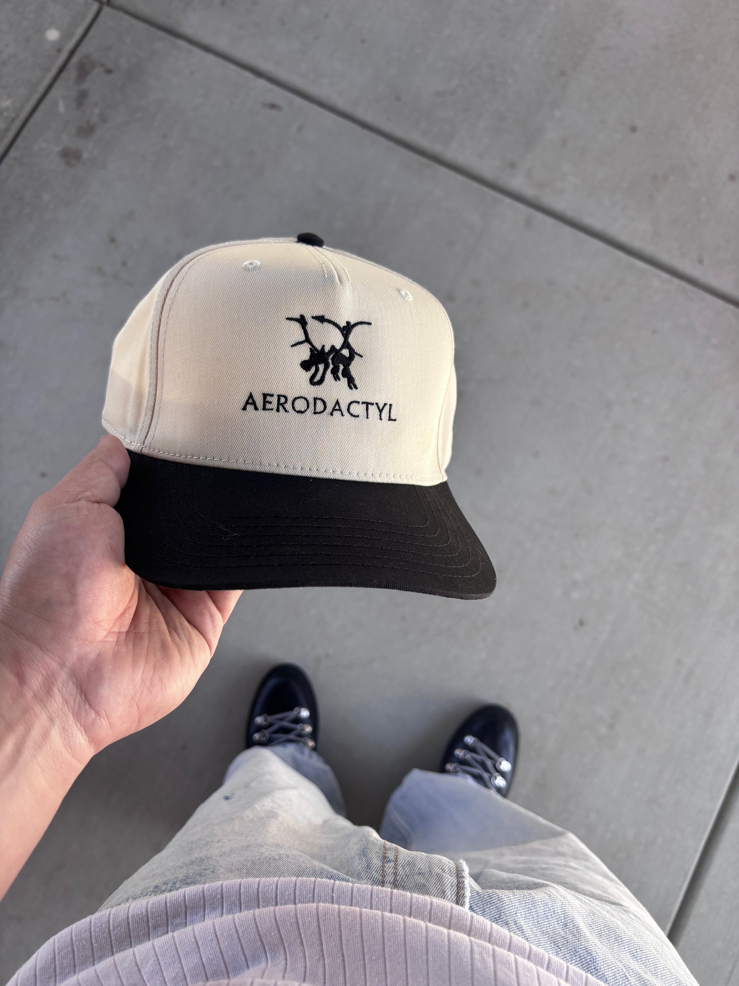 AERO’DACTYL SNAPBACK HAT