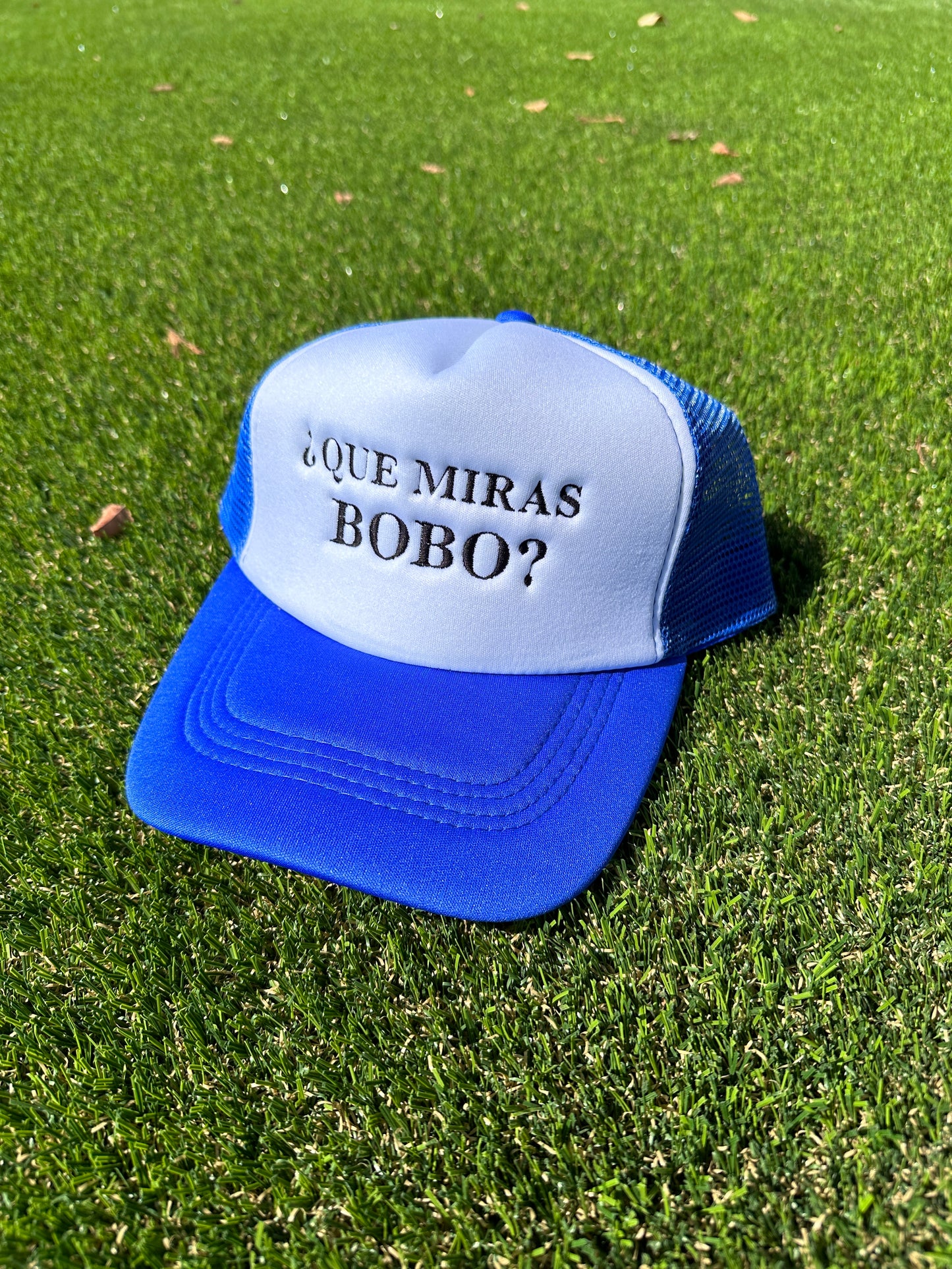 ¿Que Miras BOBO?