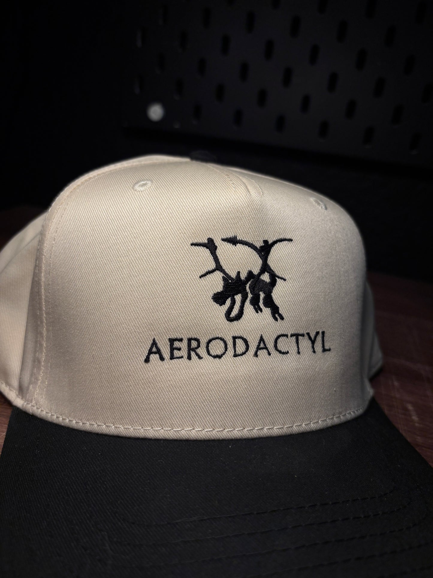 AERO’DACTYL SNAPBACK HAT