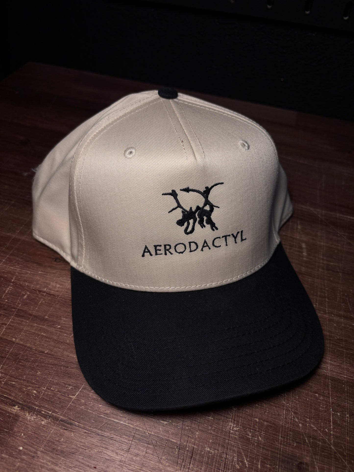 AERO’DACTYL SNAPBACK HAT
