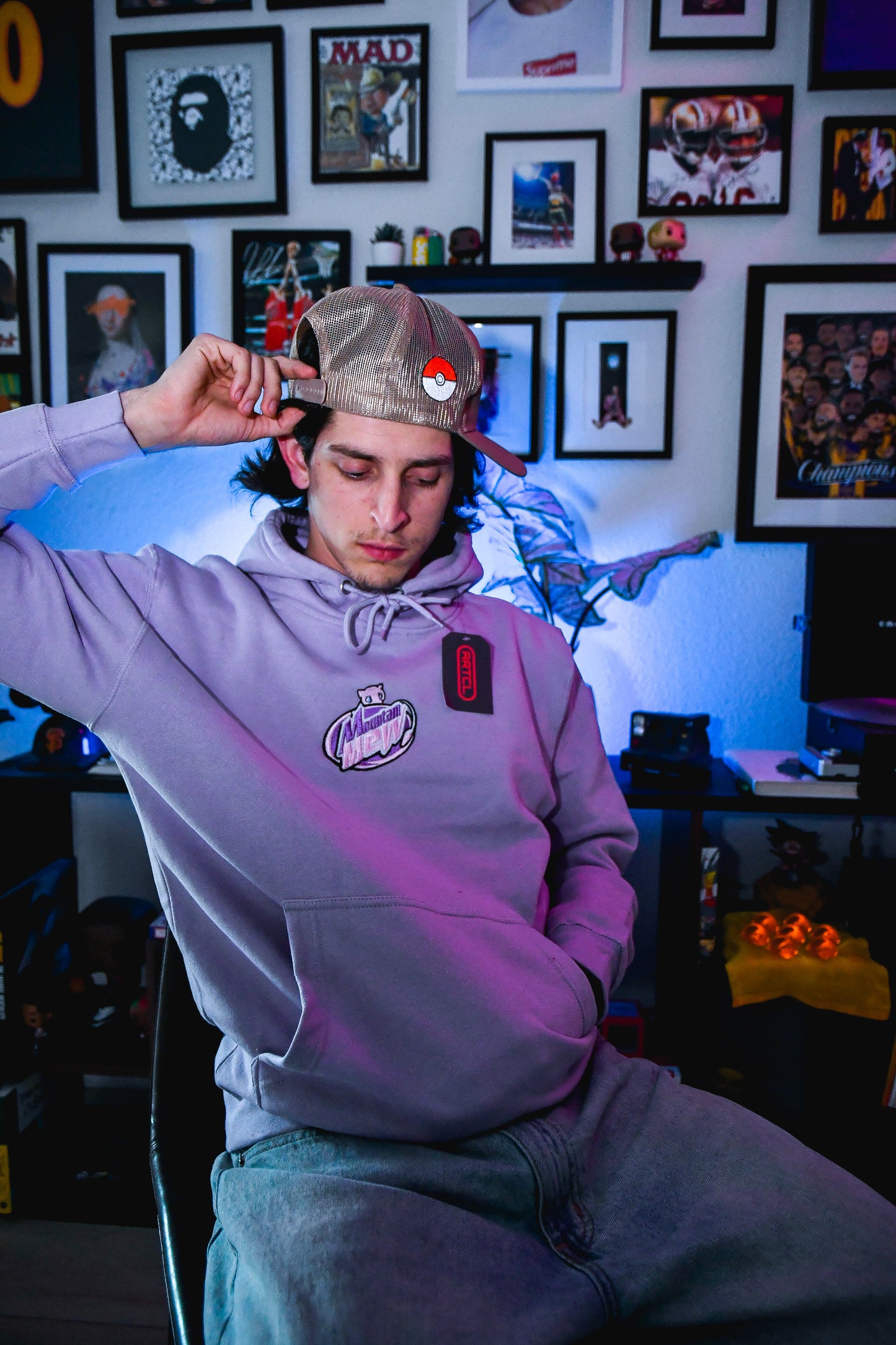 Custom Mount Mew Hoodie